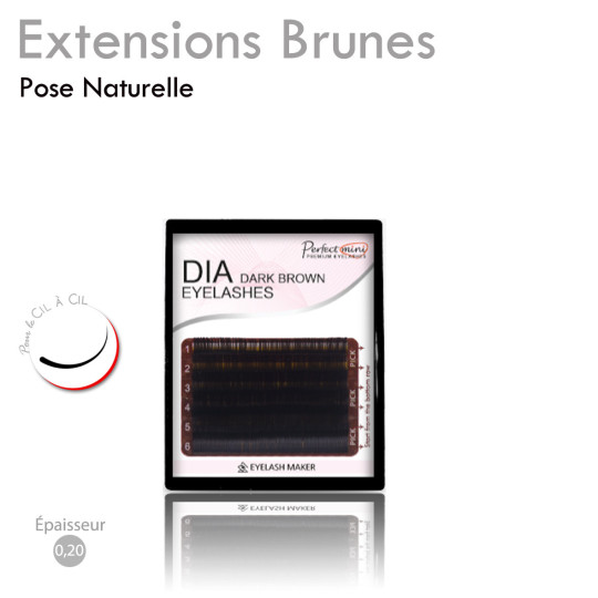 Mini Palette d'Extension de Cils Marron, Cils Brun pour un Cil à Cil effet Naturel