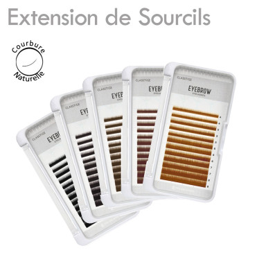 Palette d'extensions pour Sourcils. Densifier et épaissir les Sourcils Naturels